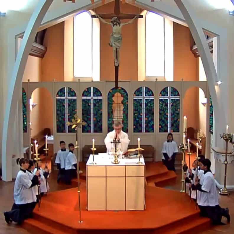 watch catholic mass online